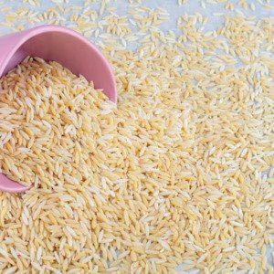 Brown Rice Brown Rice