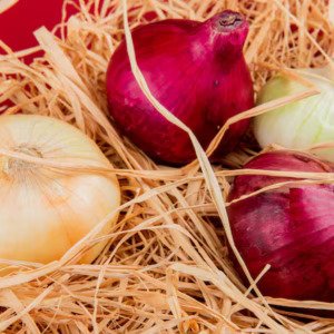 Onions Onions